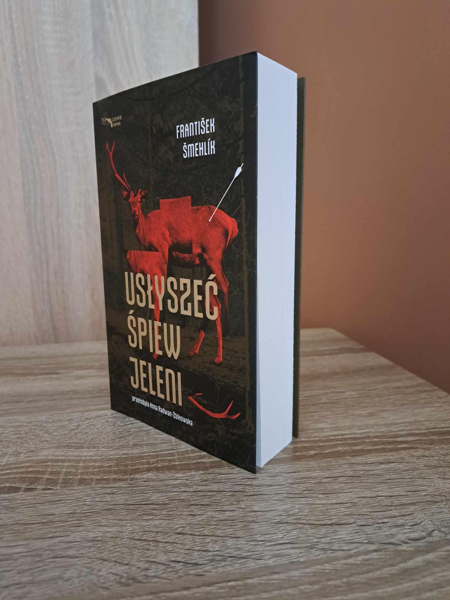 Morderstwo w beskidzkim lesie