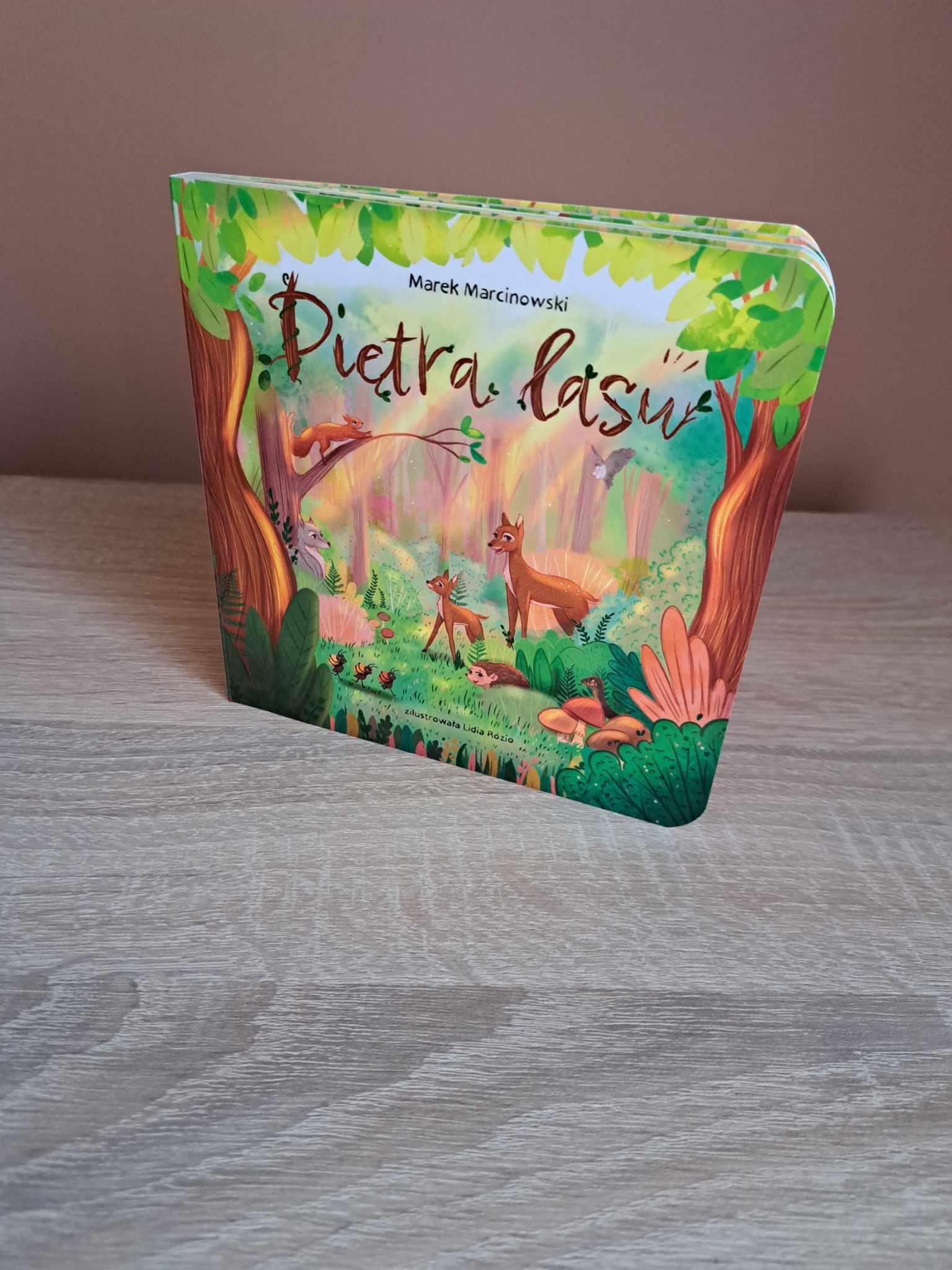 Odkryj leśny świat