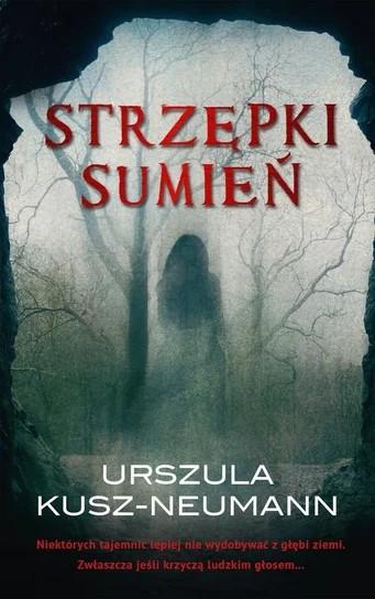 „Strzępki sumień” – wchodzisz z ciekawości, zostajesz na zawsze. NIK w najczystszej postaci!